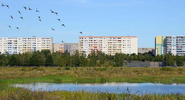 Neubauten am Landschaftspark Rudow-Altglienicke, Foto: Philipp Eder